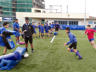 セントピーターズ　カレッジ