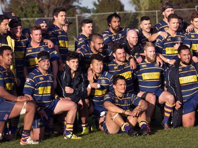 照井くんイメージ